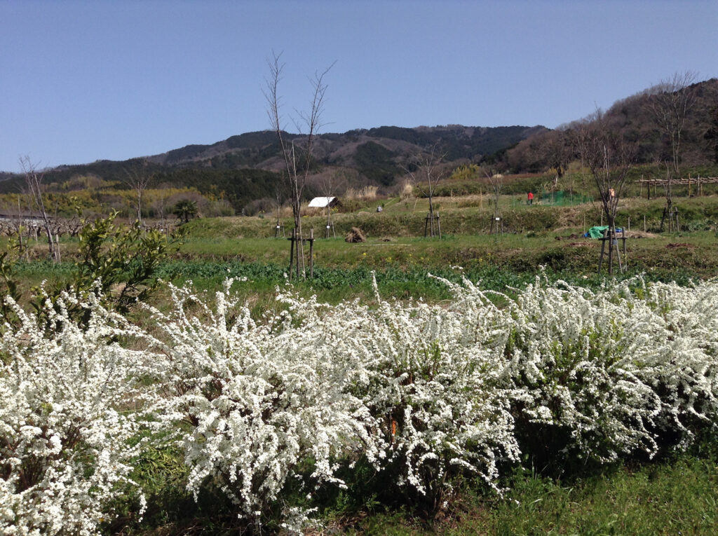 渋谷町と龍王山