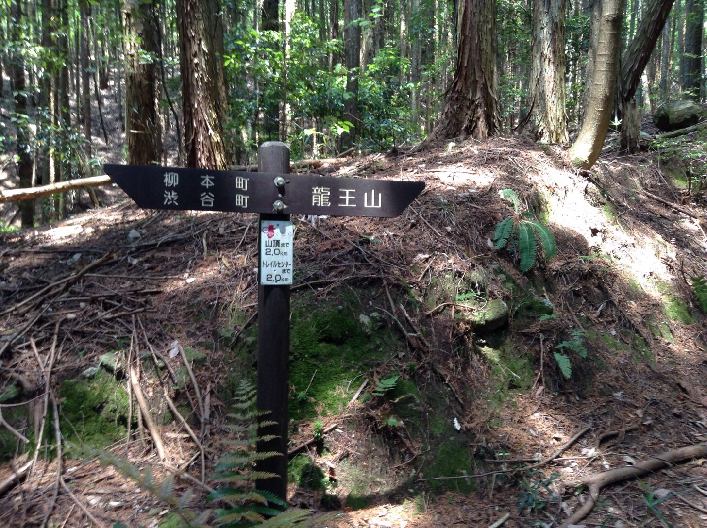 いよいよ登山道