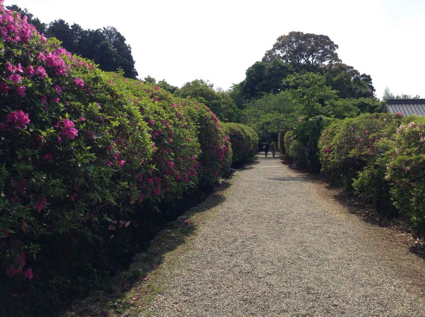 長岳寺