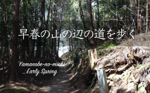 山の辺の道・桧原神社への道