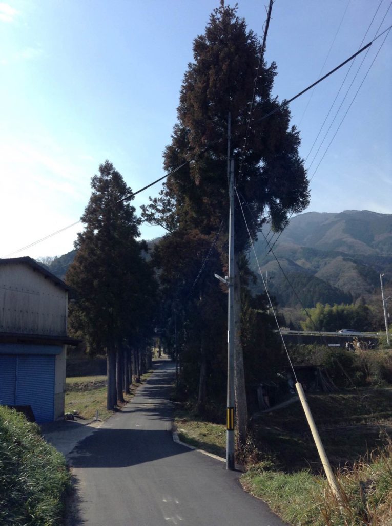 葛城一言主神社参道