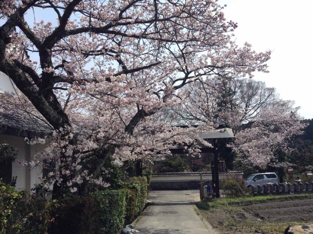 橋本院