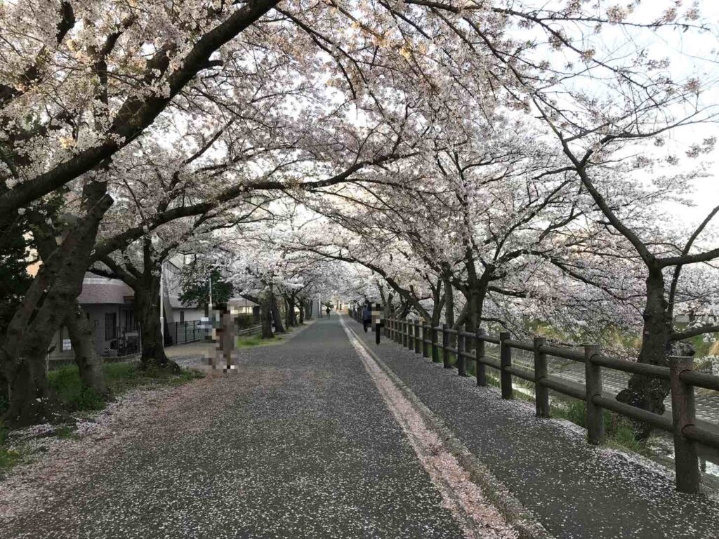 夕刻の大中公園