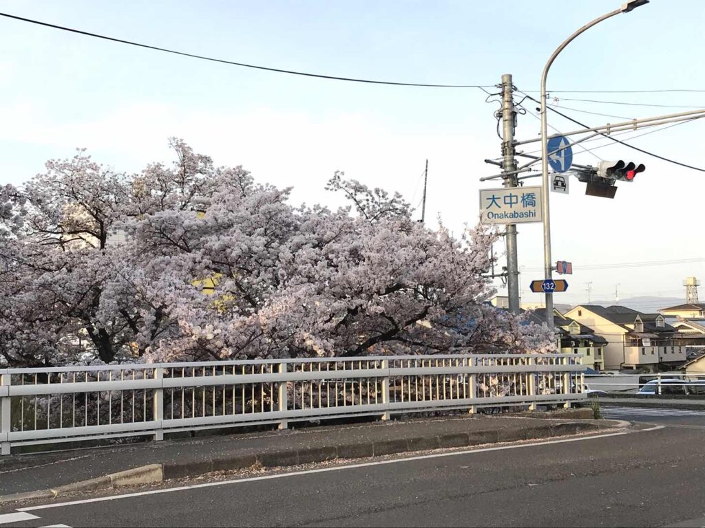 大中公園