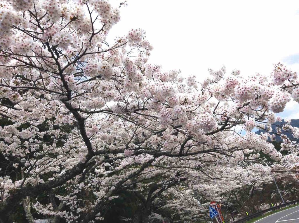 談山神社