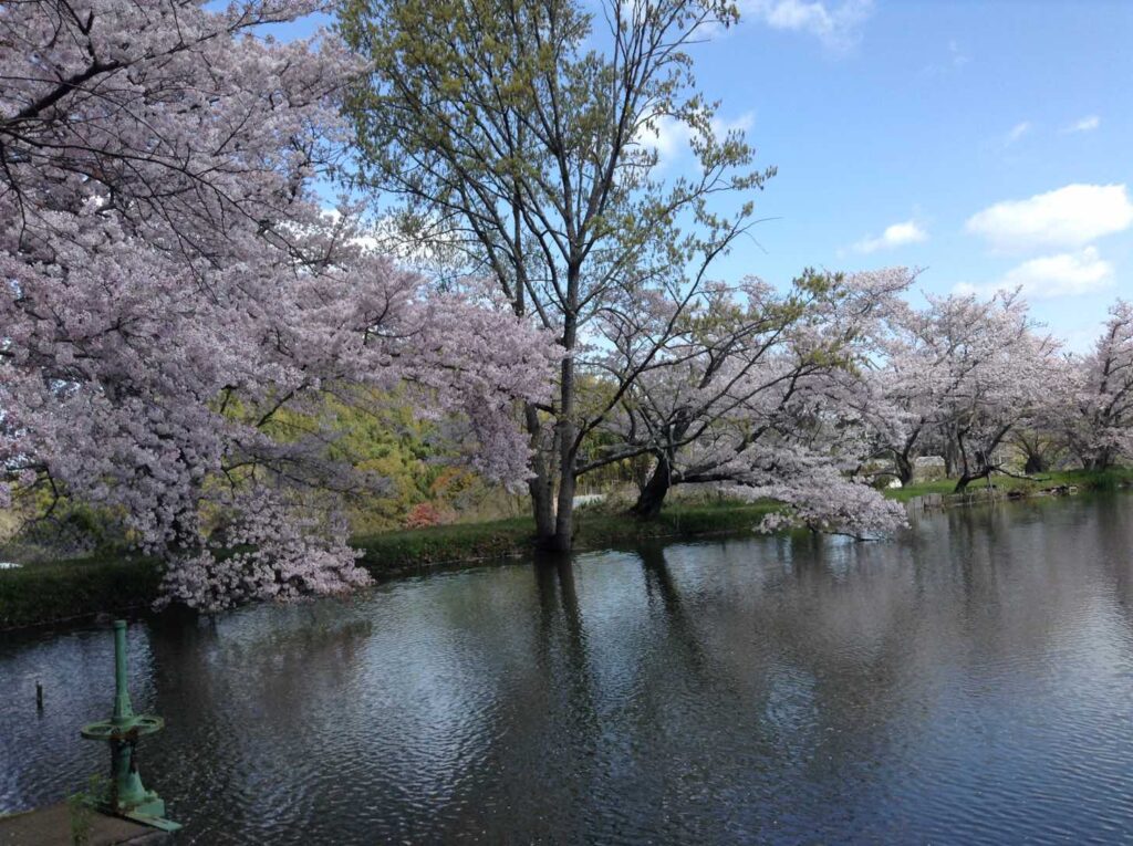 内山永久寺本堂池