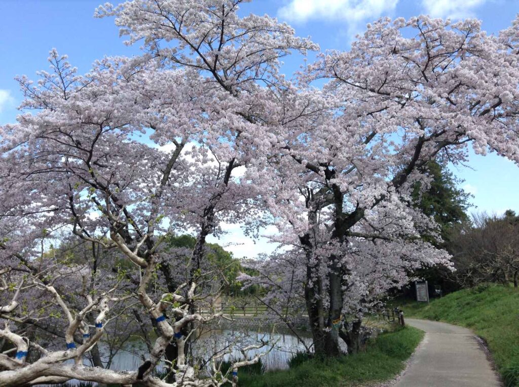 内山永久寺本堂池